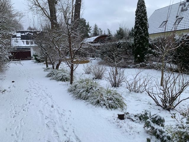 Grundstück Birkenwerder Neu (11)