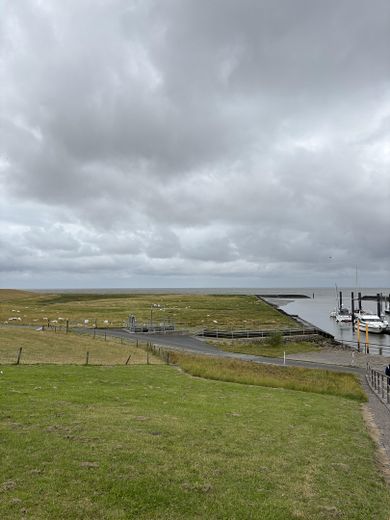 solides Einfamilienhaus an der Elbe – Foto 23