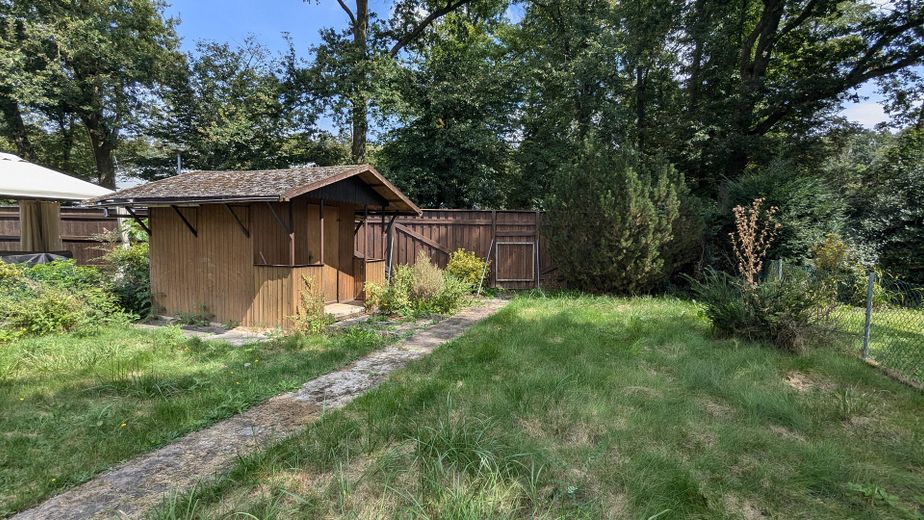 Garten, Blick Richtung Wald
