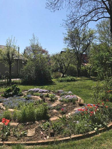Gemüsegarten