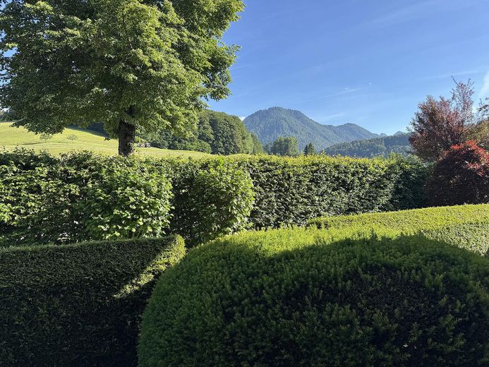 Wunderschöne 4-Zimmer-Wohnung mit traumhaftem Bergblick und 2 großzügigen Hobbyräumen! – Garten