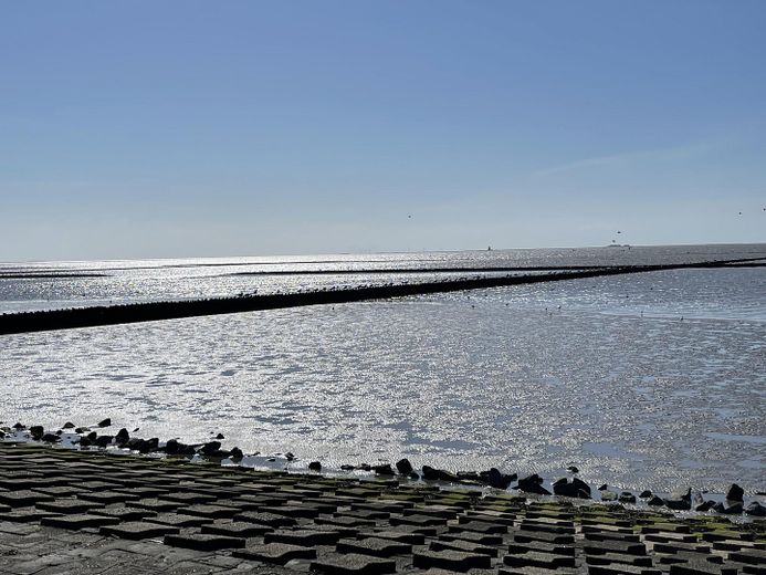 Leben zwischen Land und Meer – Stilvoll modernisierter Resthof – फोटो 1