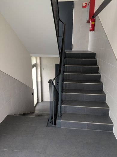 Gepflegtes Treppenhaus