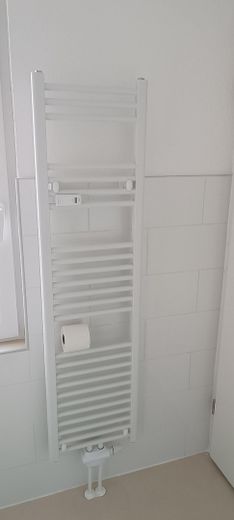 Frisch sanierte 2-Zimmer-Wohnung mit Einbauküche & neuem Kühlschrank in Aken (Elbe) – 1. OG, 37 m² – Handtuchheizkörper