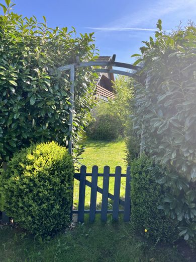 Blick in den Garten