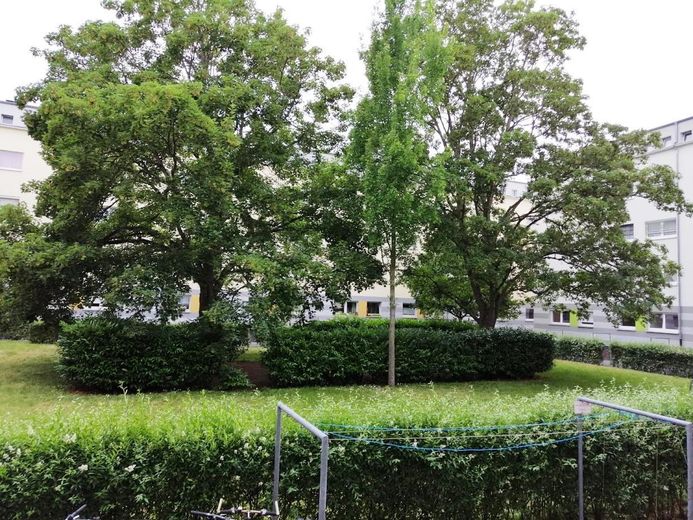 Grünanlage/Garten