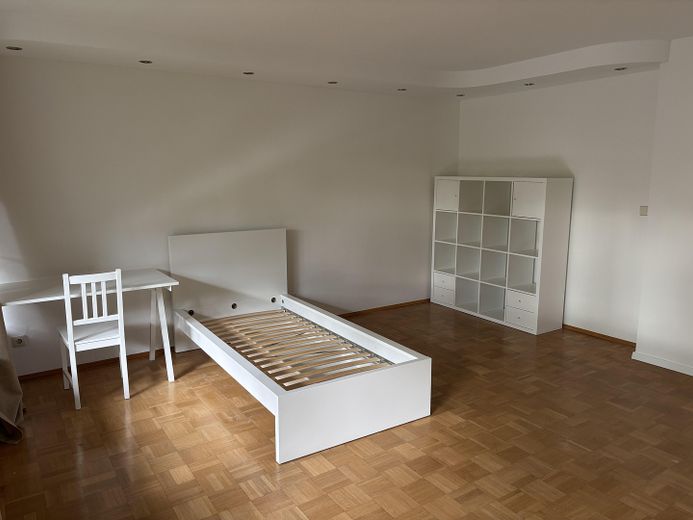 Neubezug nach Renovierung 4er-WG in der Oststadt – zentral, uninah, gemütlich – Zimmer 4
