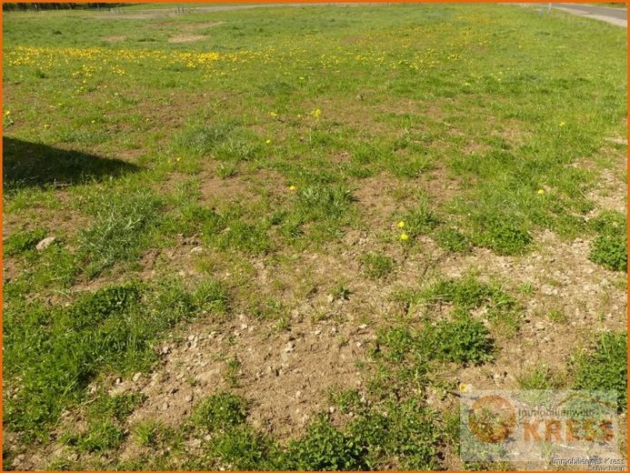Erschlossener ebener Bauplatz in Steinau-Hintersteinau incl. Abwasser- und Wasserhausanschluss – Foto 1