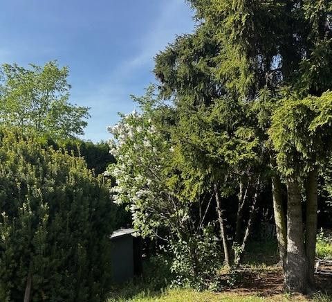 Haus im Bungalowstil als Fertigbau mit Pool, Nebengelass und großem Grundstück – Grundstück