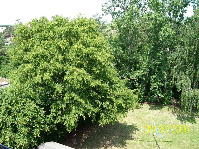 Eşyalı stüdyo daire kiralık – Fotoğraf 13