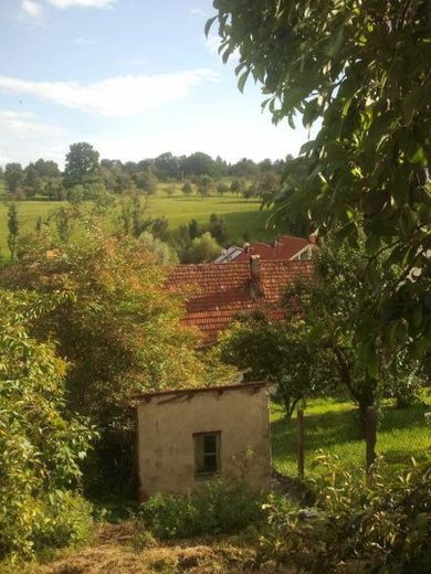 Blick vom oberen Garten