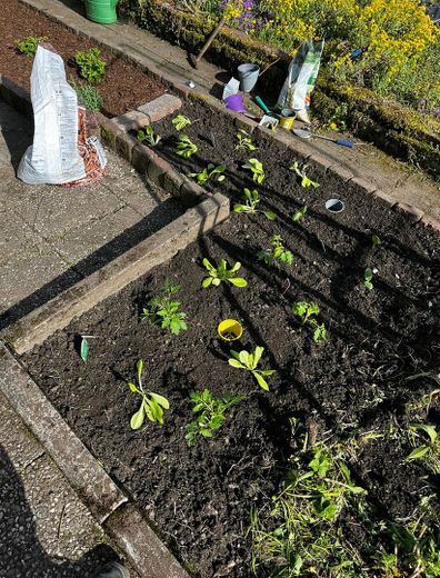 Appartement de 4 pièces avec cuisine équipée et jardin à louer ! Animaux domestiques autorisés ! – Photo 9