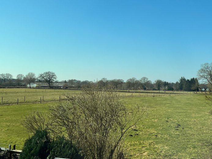 Blick auf die Pferdeweide
