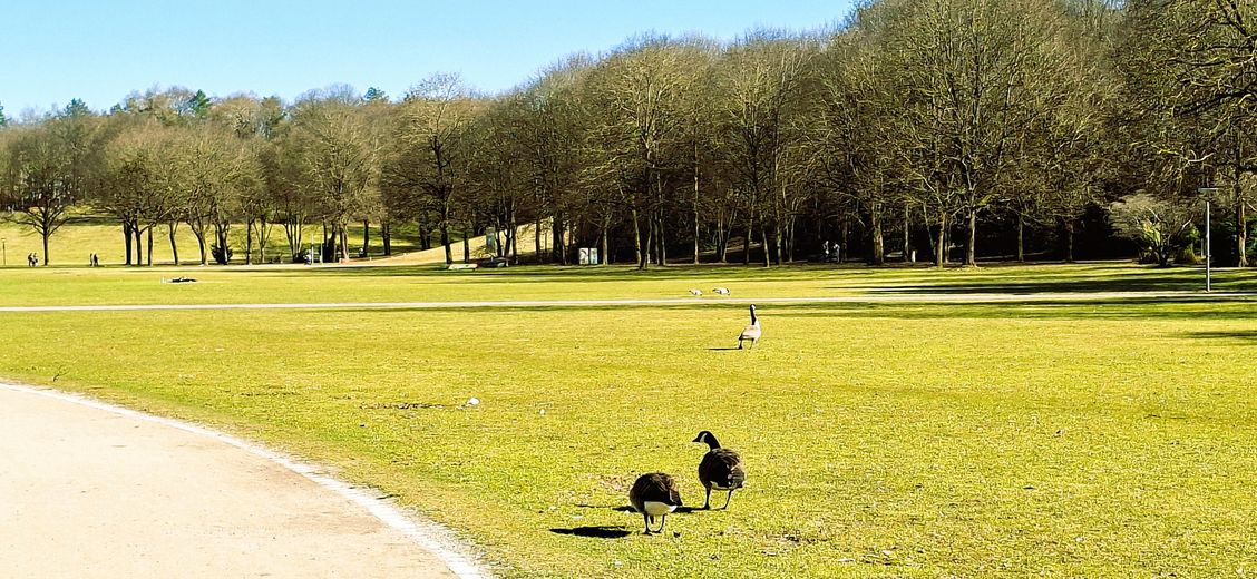 Impressionen Westpark