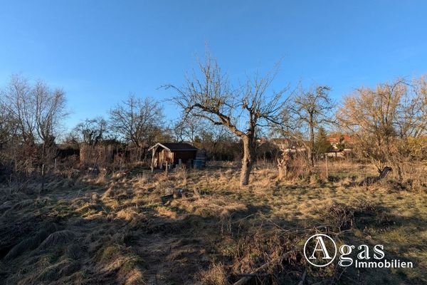 Terreno senza vincoli da parte di un’impresa di costruzioni a Beelitz per la casa dei vostri sogni