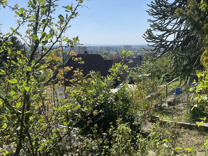 Blick nach Westen