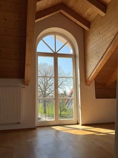 Blick ins Grüne