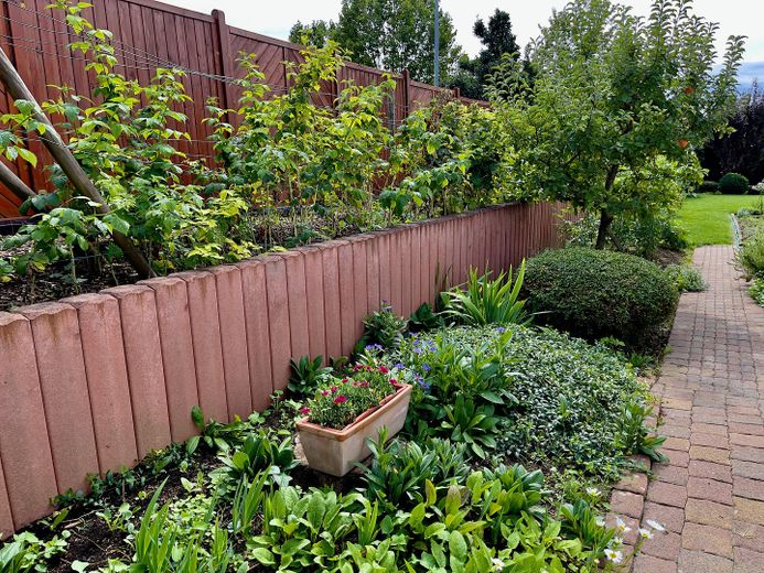 Selten am Mainzer Stadtrand: 6-Zimmer-Haus mit großem Privatgarten – Liebevoll angelegter Garten