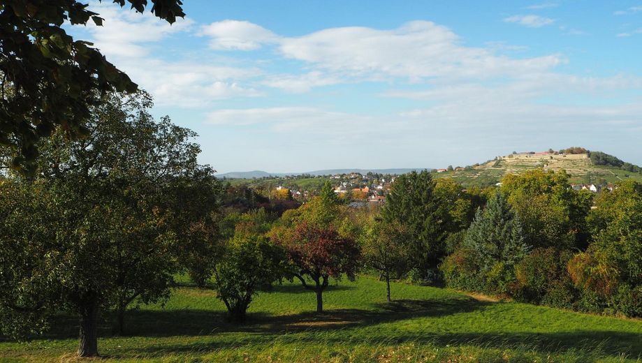 Blick zum Hohenasperg