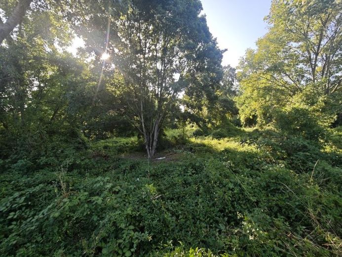 Due terreni adiacenti sul Reno con un totale di ca. 33.725 m² – Foto 1