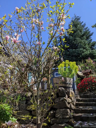 Autarkes Wohlfühlhaus – Garten zur Südterrasse