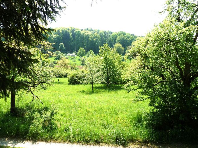 Blick aus dem Grundstück