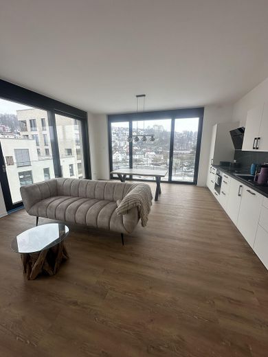 2 Zimmer Wohnung im Neubau Blauhöfe Blaustein – Wohn- und Essbereich