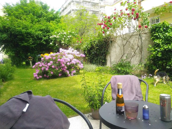 Ruhige 2-Zimmer-Altbauwohnung mit neuer Terrasse und grünem Innenhof – Garten mit Begrünung