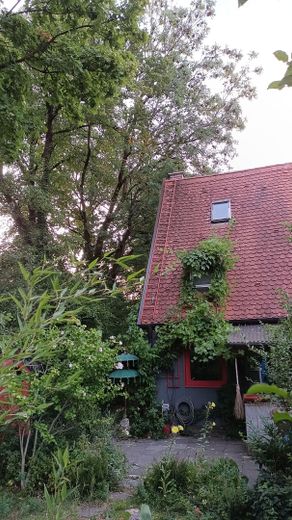 ruhige Stadtoase - kleines Reiheneckhaus – Eingang mit Garten