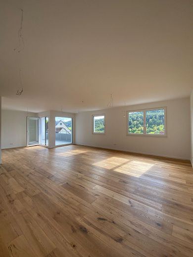 Penthouse-Wohnung -Erstbezug- mit toller Raumaufteilung und großem Balkon mit reizvollem Ausblick – Wohn/Essbereich