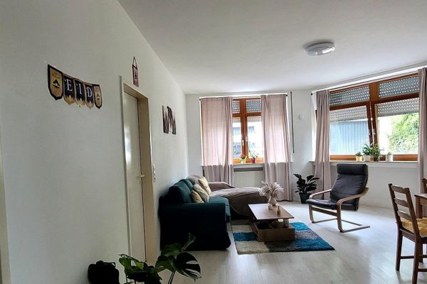 Accessibile: appartamento di 2 locali ben tenuto al piano terra