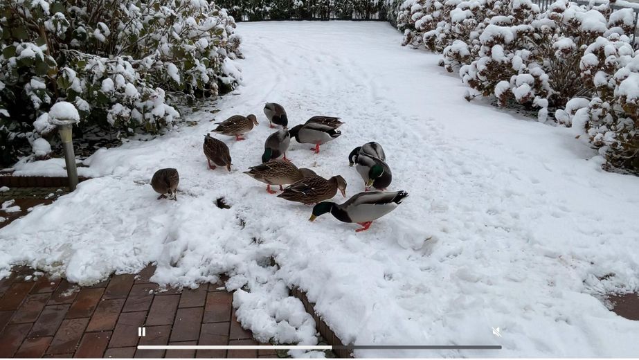 unsere Gäste im Winter
