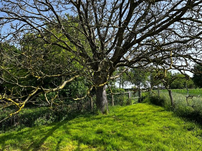 Resthof in Spenge mit der Option auf 1 ha Weide´für Pferdeliebhaber – Garten