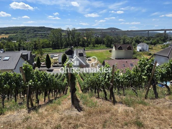 933 m² Baugrundstück - Südlage in 53474 Heppingen – Foto 1