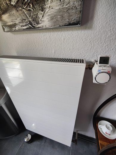Dreifamilienhaus im Grünen mit großem Grundstück – Foto 40
