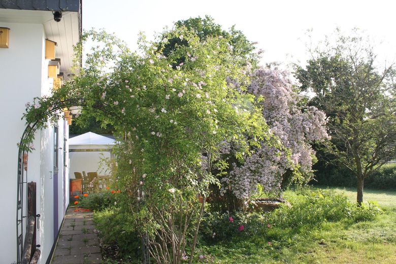 ein Duftmeer