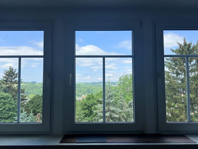 frisch sanierter 5 - Zi DG-Wohntraum mit Fernblick und Gartenanteil in einer Villa – Foto 6