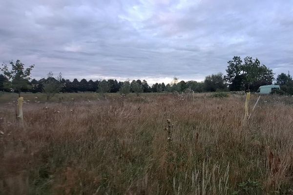 Grand terrain constructible dans le parc naturel du Westhavelland