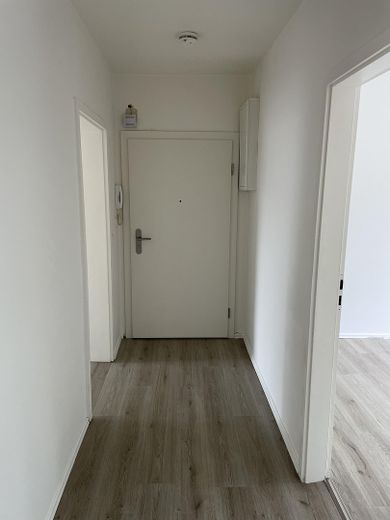 Frisch modernisierte 3-Zimmer-Wohnung in Altstadtnähe – Flur zur Tür