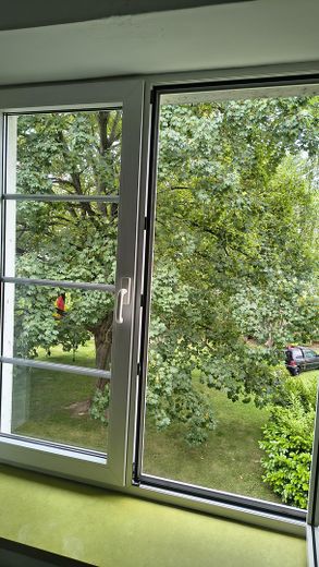 Große, bezugsfertige Wohnung - 6,5 Zimmer + 3 Stellplätze – Foto 17