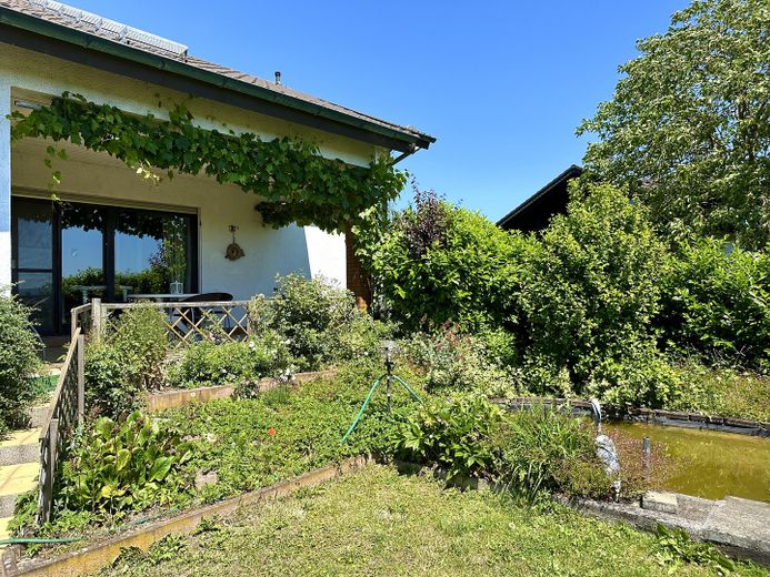 Haus / Teich