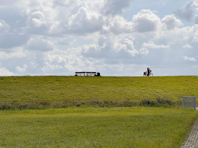 Elbdeich-Idylle bei Otterndorf – Landkreis Stade – Foto 37