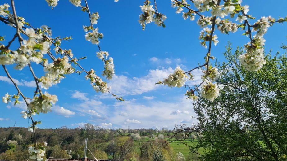 Blick vom oberen Garten