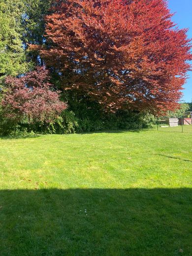 Idyllisches Einfamilienhaus in Hünger – Foto 5