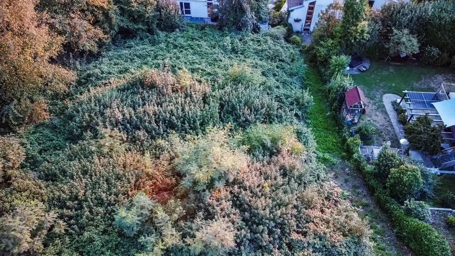 Terreno edificabile in posizione tranquilla alla periferia di Tettnang – Grundstück 5
