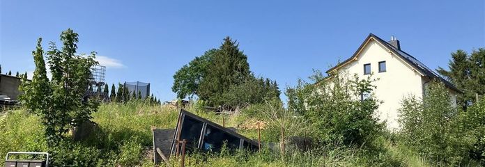 IMG_0241