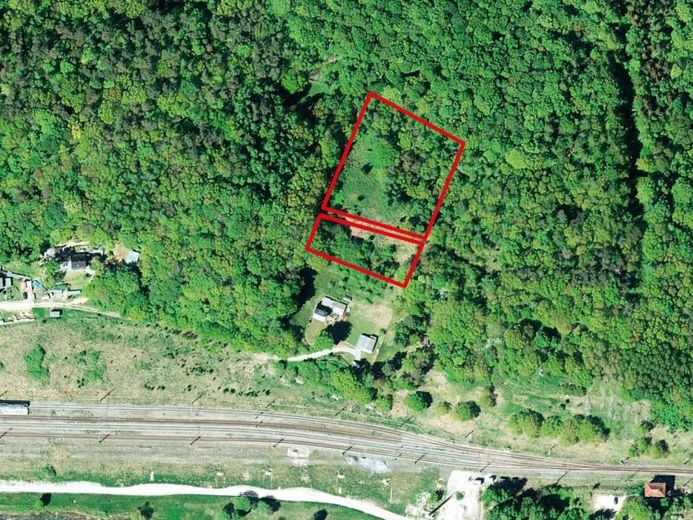 Wald in 18528 Lietzow /Insel Rügen, hinter Dorfstraße 32 – Foto 1