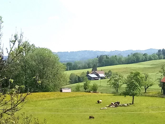 Habiter de façon idyllique dans l'Allgäu – spacieux appartement mansardé avec vue de rêve – Umgebung