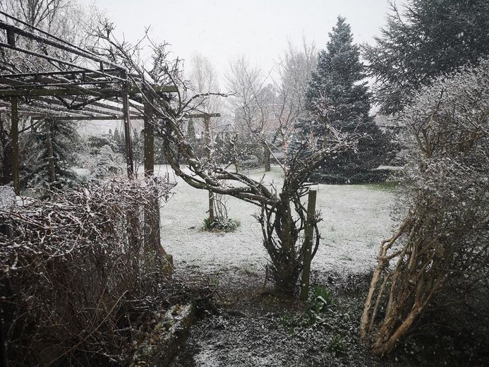 Garten im Winter