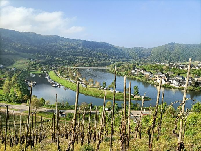 Blick von den Weinbergen